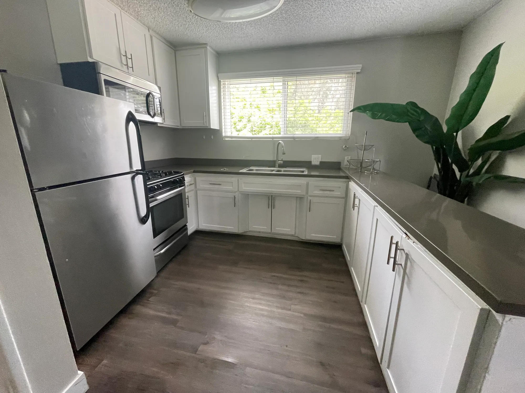 555 Levering, undefined, 555 Levering Ave, Los Angeles, CA 90024, USA, Photo:1