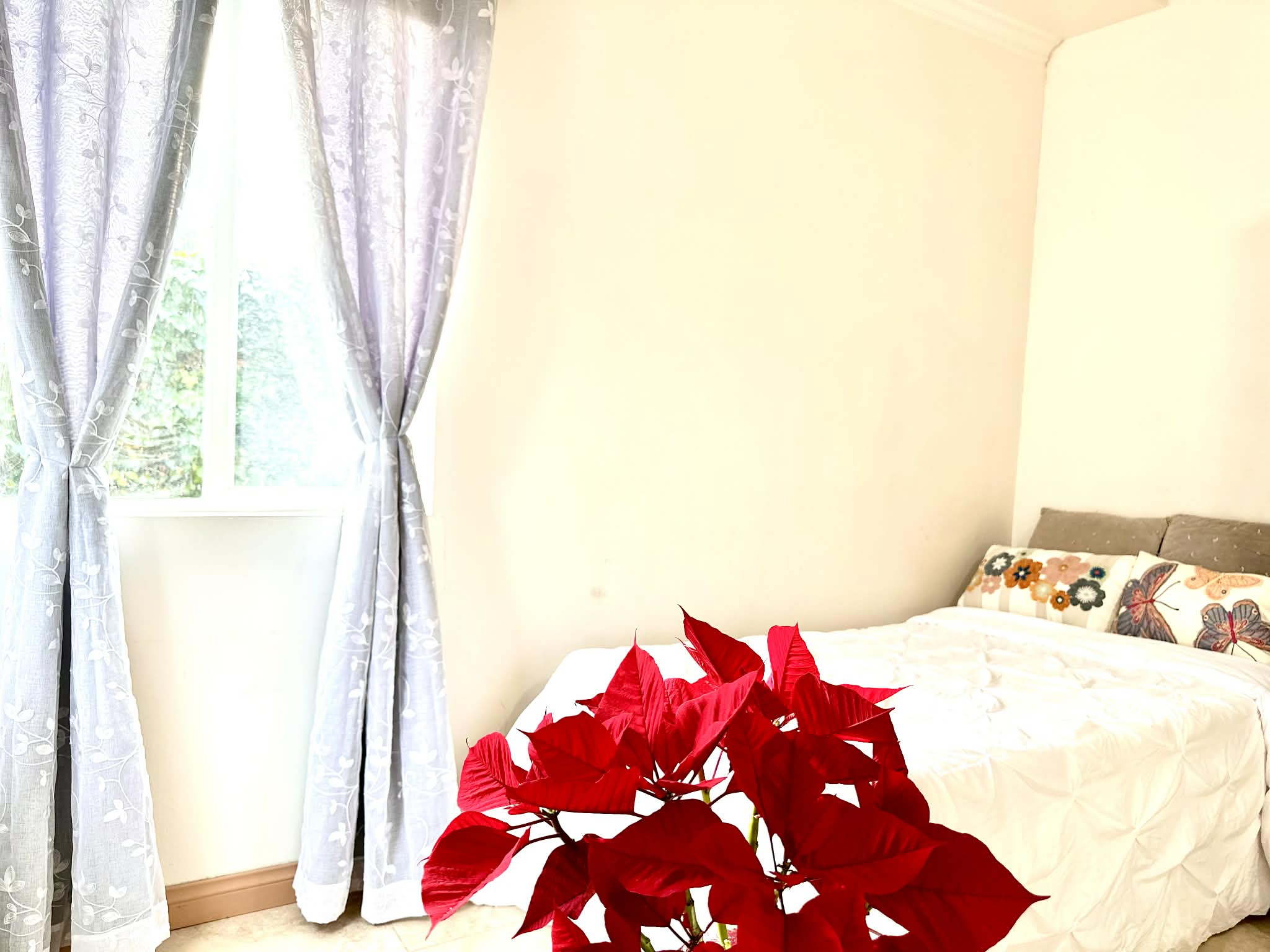 Hai's room for rent, undefined, 11301 Graham Pl, Los Angeles, CA 90064, USA, Photo:6