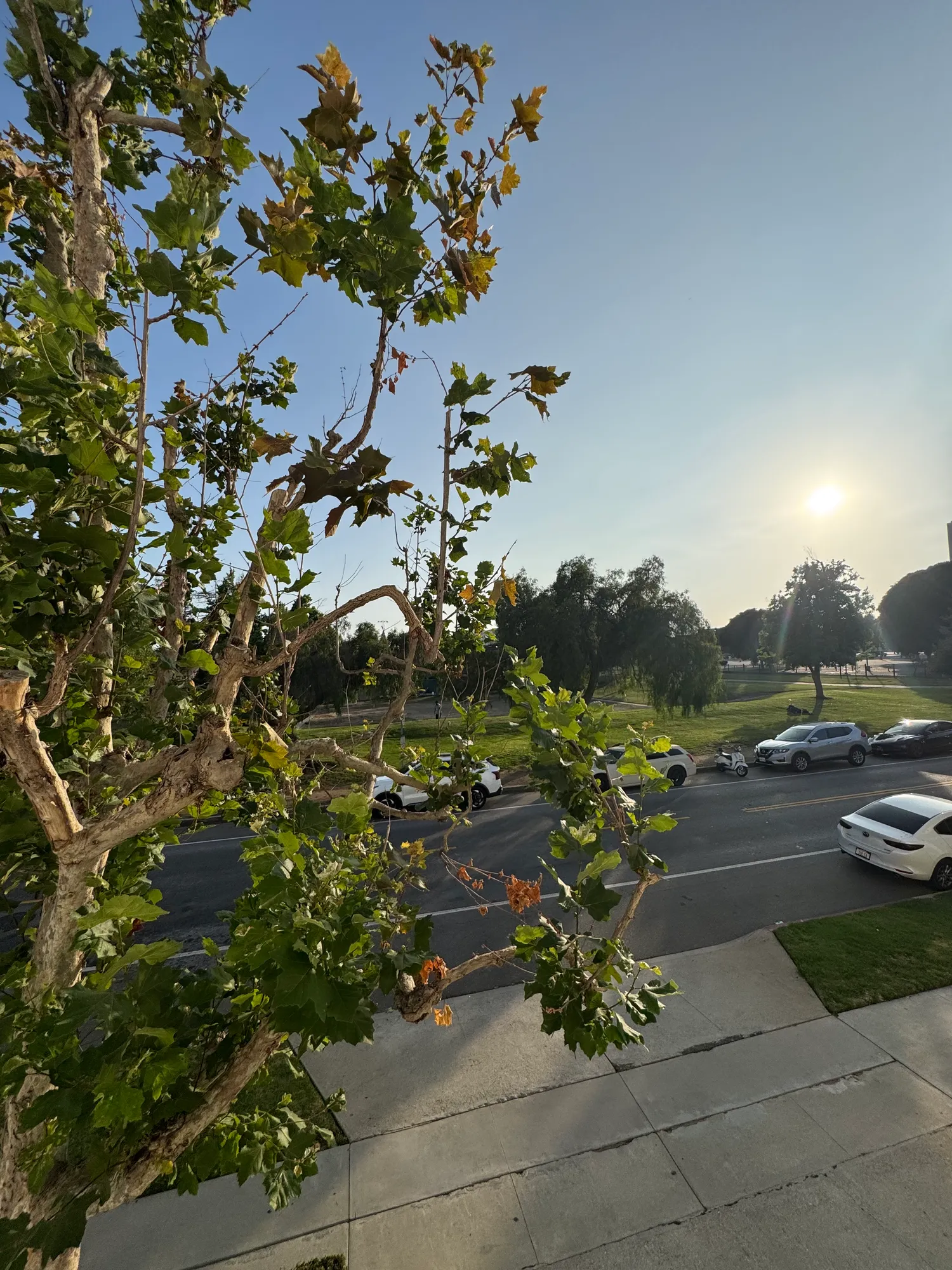 Rochester , undefined, 10990 Rochester Ave, Los Angeles, CA 90024, USA, Photo:1