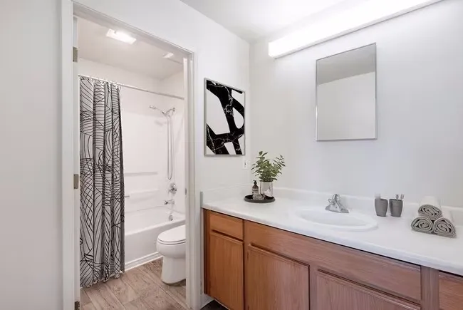 525Laurel, undefined, 525 Laurel St, Santa Cruz, CA 95060, USA, Photo:4