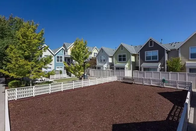 525Laurel, undefined, 525 Laurel St, Santa Cruz, CA 95060, USA, Photo:7