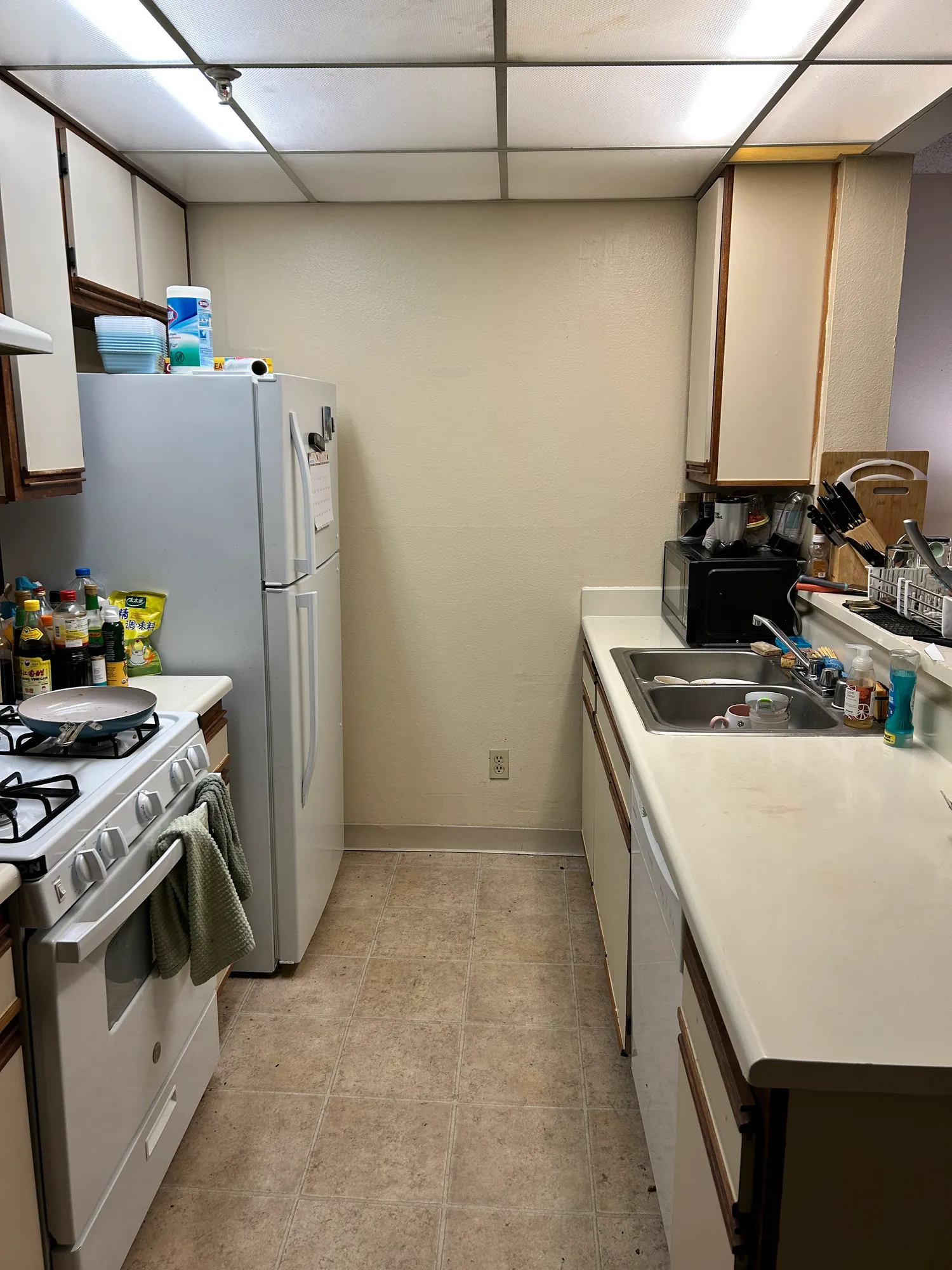 512 Veteran, undefined, 512 Veteran Ave, Los Angeles, CA 90024, USA, Photo:1