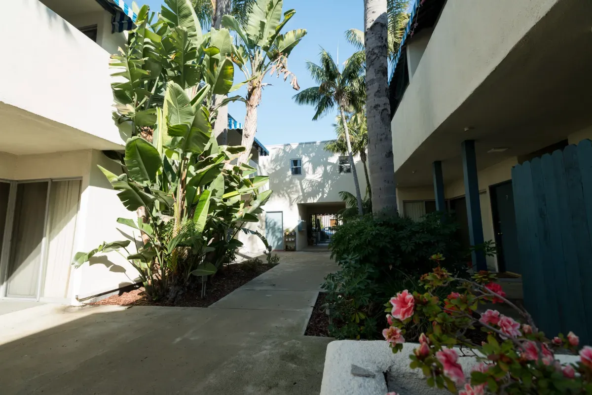 3537 Clarington Ave, undefined, 3537 Clarington Ave, Los Angeles, CA 90034, USA, Photo:7