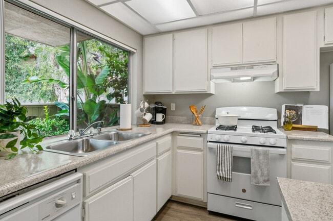 Campus Crossings at Riverside, undefined, 1133 W Blaine St, Riverside, CA 92507, Photo:2