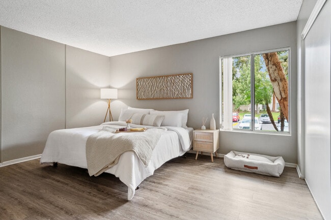 Campus Crossings at Riverside, undefined, 1133 W Blaine St, Riverside, CA 92507, Photo:3