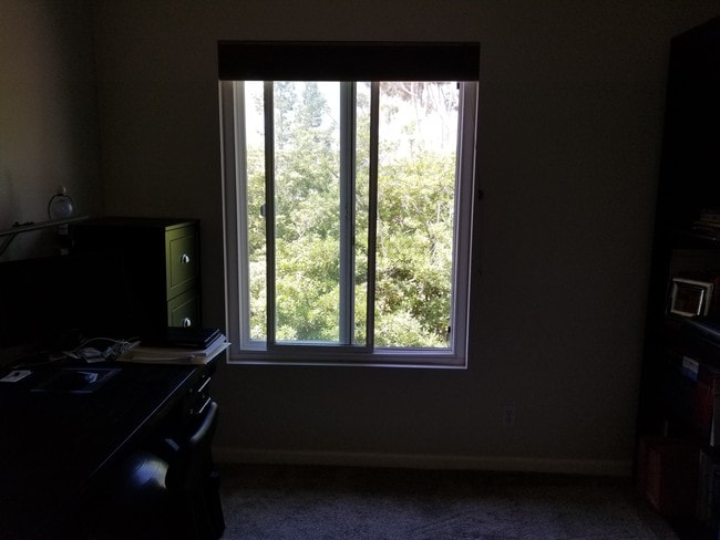 8830 Via Andar, undefined, 8830 Via Andar, San Diego, CA 92122, Photo:4