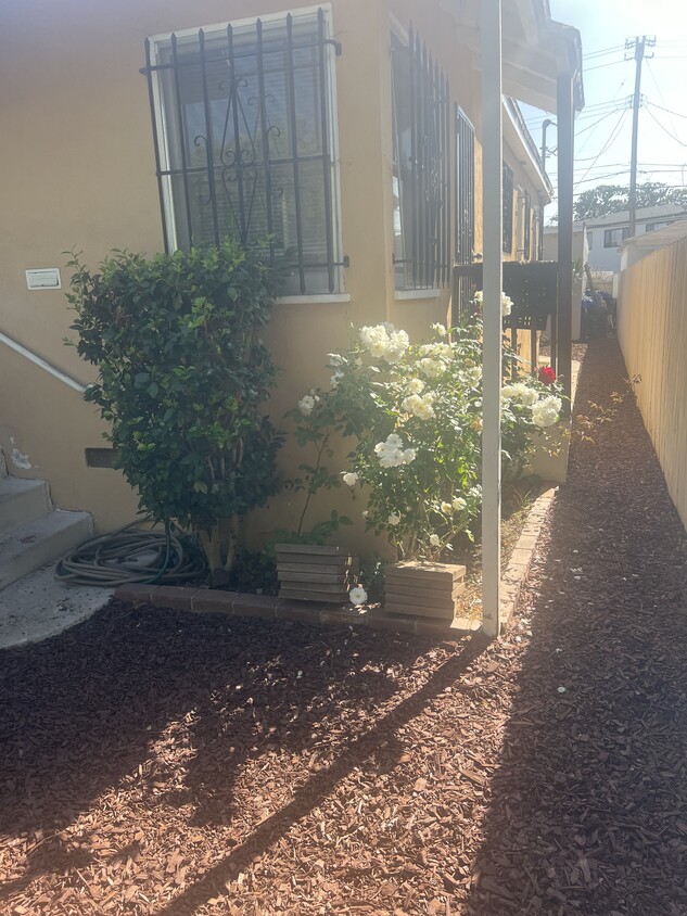 2575 S Barrington Ave, undefined, 2575 S Barrington Ave, Los Angeles, CA 90064, Photo:0
