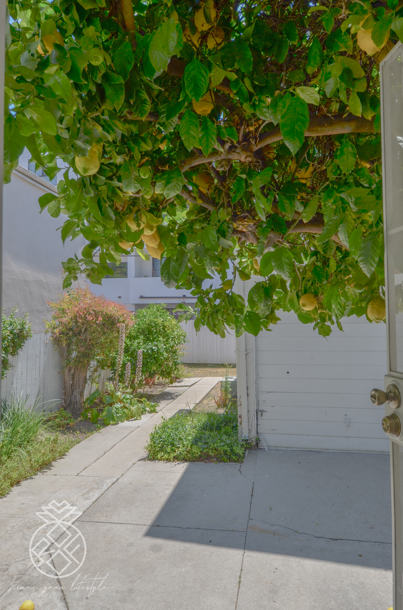 1845 Midvale, ucla, 1845 Midvale Ave, West Los Angeles, CA 90025, USA, Photo:27