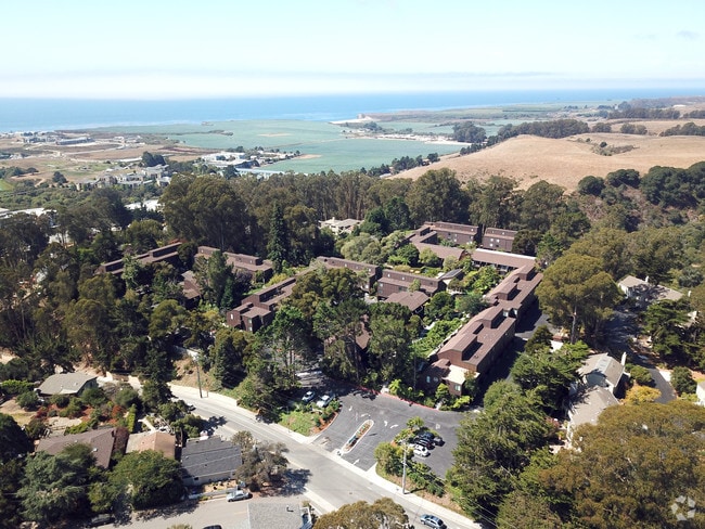 The Hilltop, undefined, 363 Western Dr, Santa Cruz, CA 95060, Photo:1