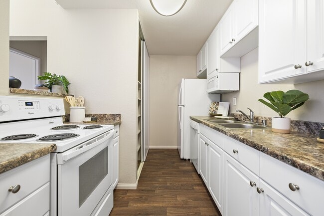 Allina La Jolla, undefined, 3417 Lebon Dr, San Diego, CA 92122, Photo:3