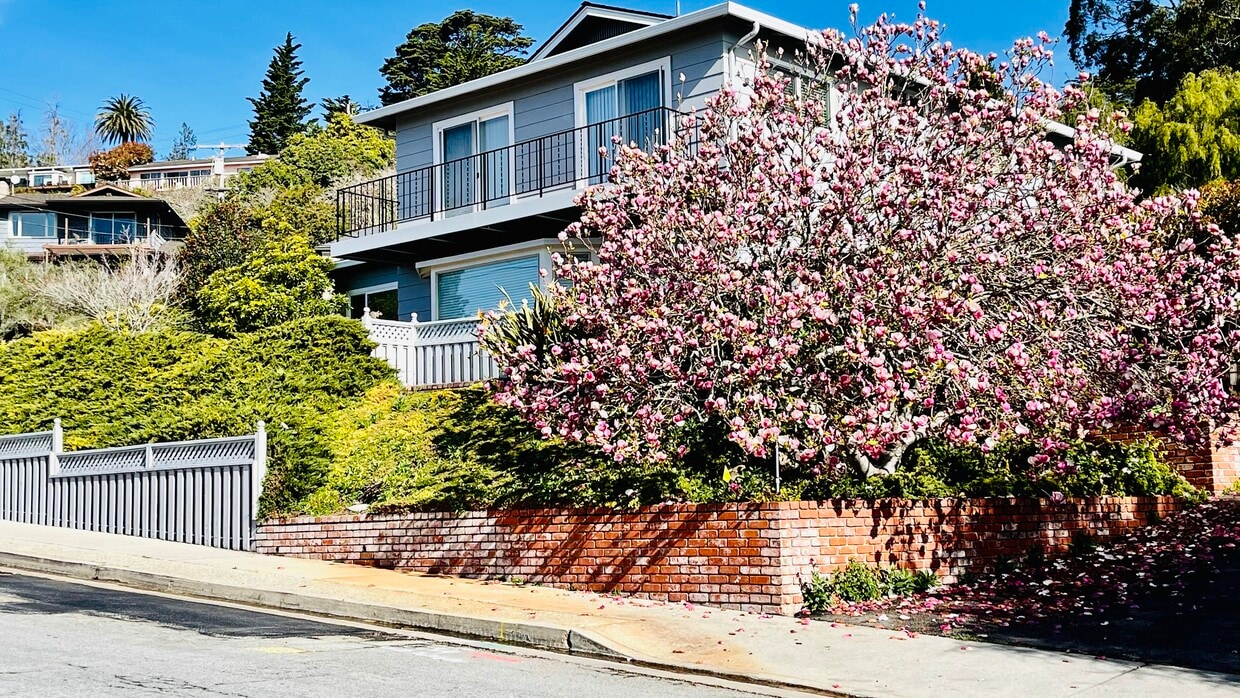 520 Escalona Dr, undefined, 520 Escalona Dr, Santa Cruz, CA 95060, Photo:0