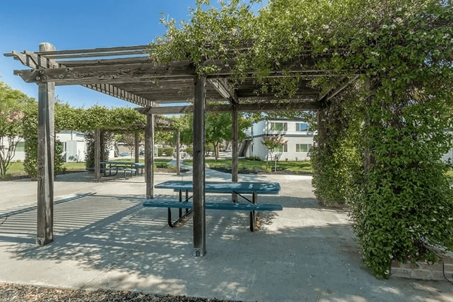 Academy Lane Apartment Homes, undefined, 1124 F St, Davis, CA 95616, Photo:3