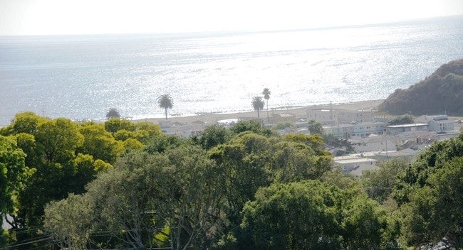 242 Elk St, undefined, 242 Elk St, Santa Cruz, CA 95065, Photo:5