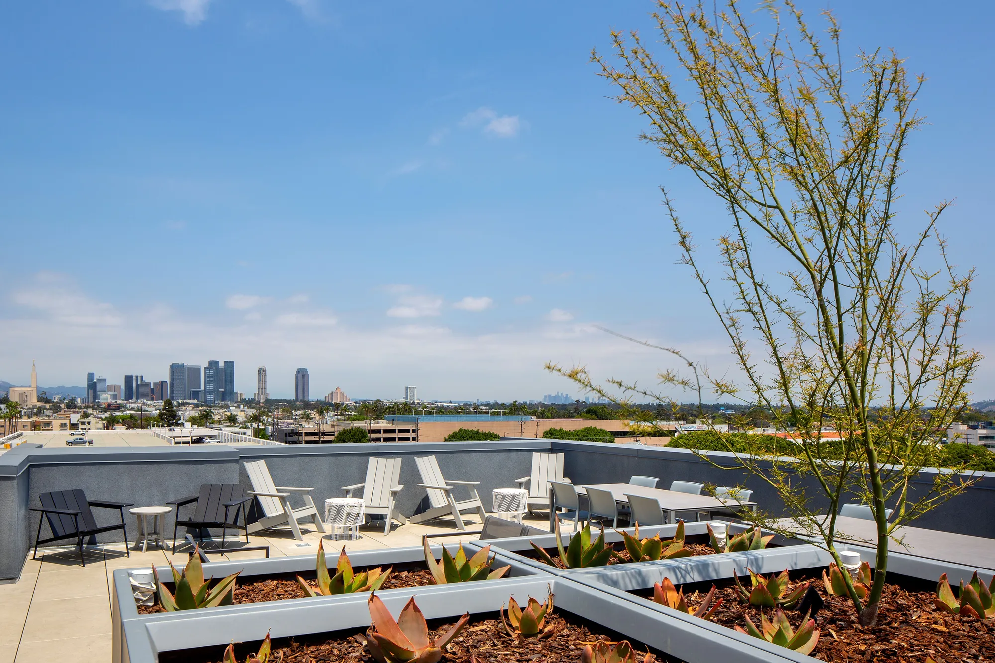 Beloit West Co-Living, undefined, 1775 Beloit Ave, Los Angeles, CA 90025, USA, Photo:5