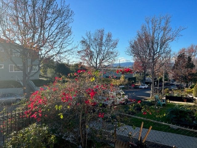 1843 19th St, undefined, 1843 19th St, Santa Monica, CA 90404, Photo:3