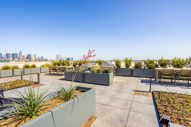 The Nexen, usc, 2968 W 7th St, Los Angeles, CA 90005, USA, Photo:11