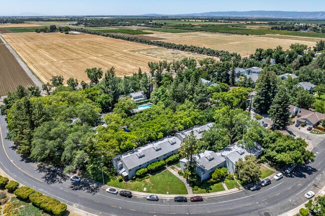 Le Tournesol, undefined, 2640 Portage Bay Ave E, Davis, CA 95616, Photo:2
