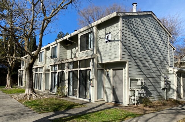 Le Tournesol, undefined, 2640 Portage Bay Ave E, Davis, CA 95616, Photo:4
