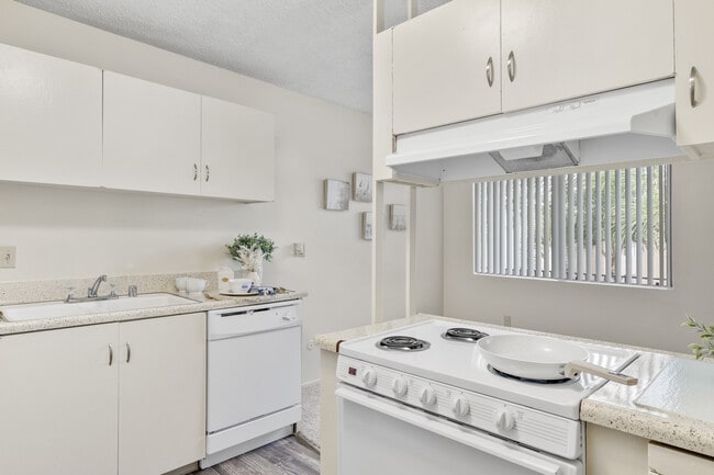 6595 Montezuma Rd, undefined, 6595 Montezuma Rd, San Diego, CA 92115, Photo:4