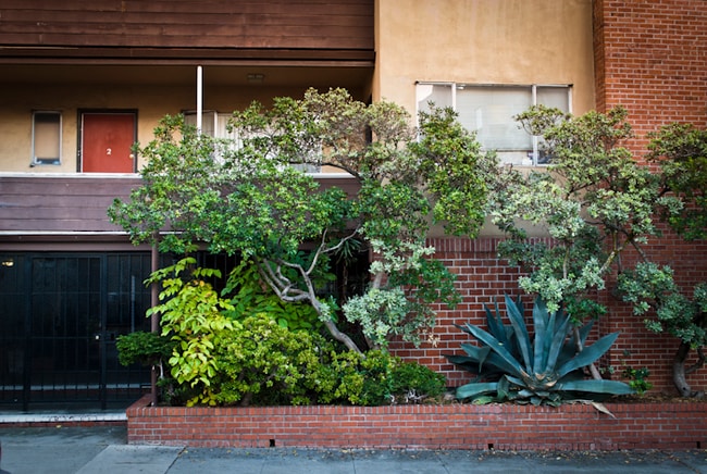 2501 Benvenue Ave, undefined, 2501 Benvenue Ave, Berkeley, CA 94704, Photo:3