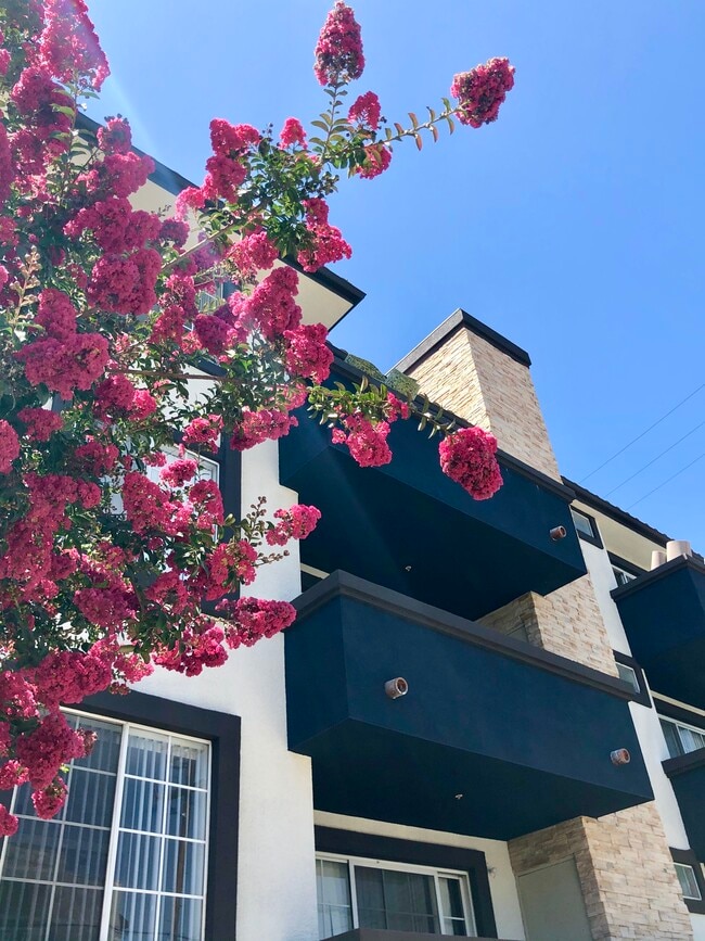 18418 Dearborn St, csun, Northridge, CA 91325, 18418 Dearborn St, Photo:1