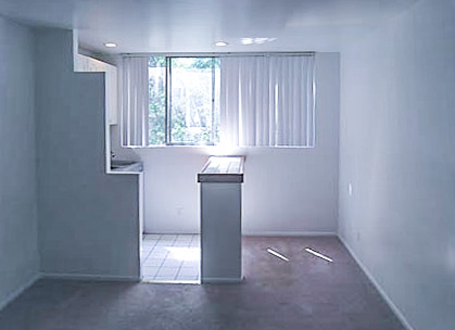 10966 Roebling Ave, undefined, 10966 Roebling Ave, Los Angeles, CA 90024, Photo:7