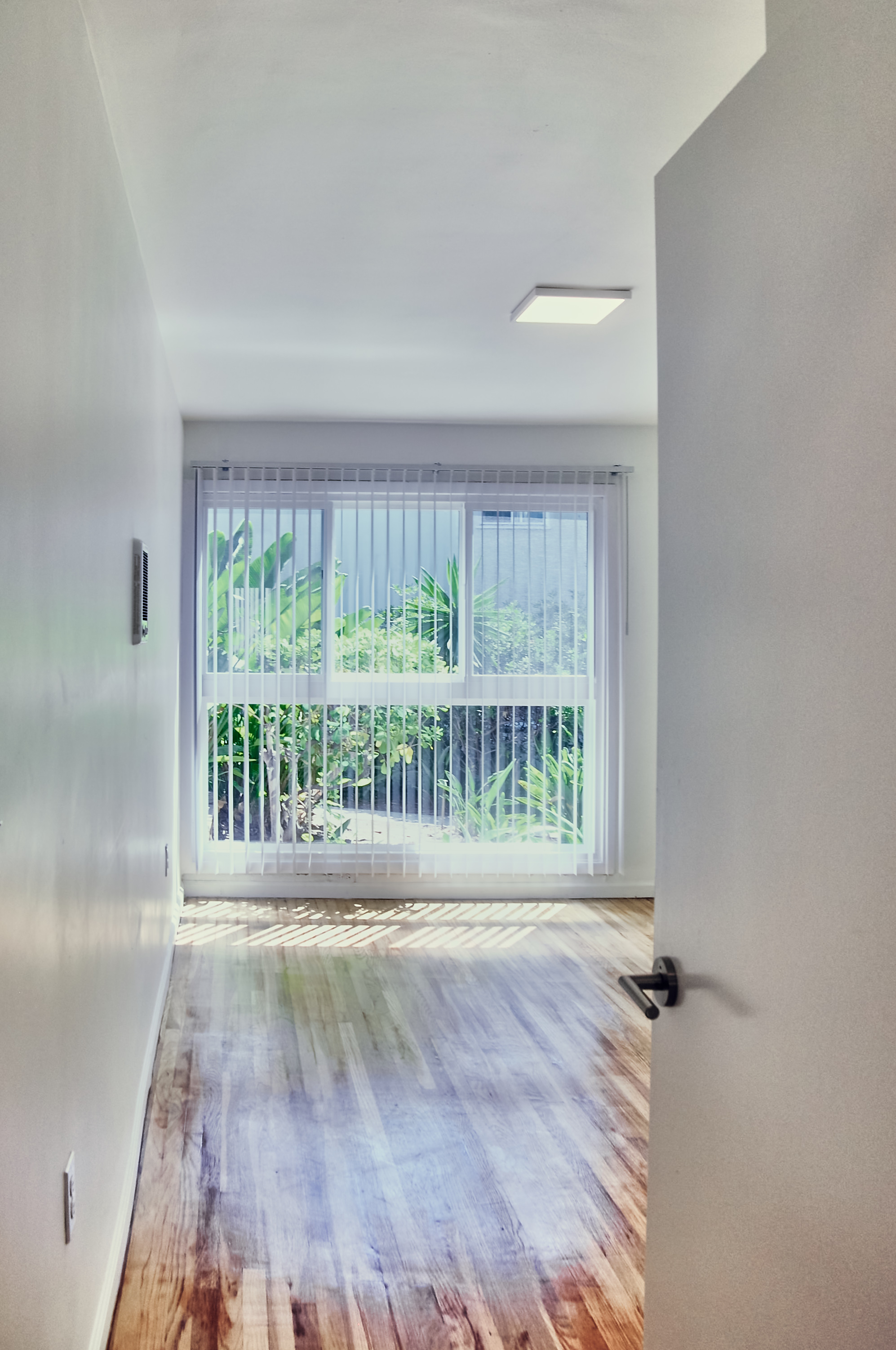 650 Midvale, ucla, 650 Midvale, Los Angeles, CA 90024, Photo:3