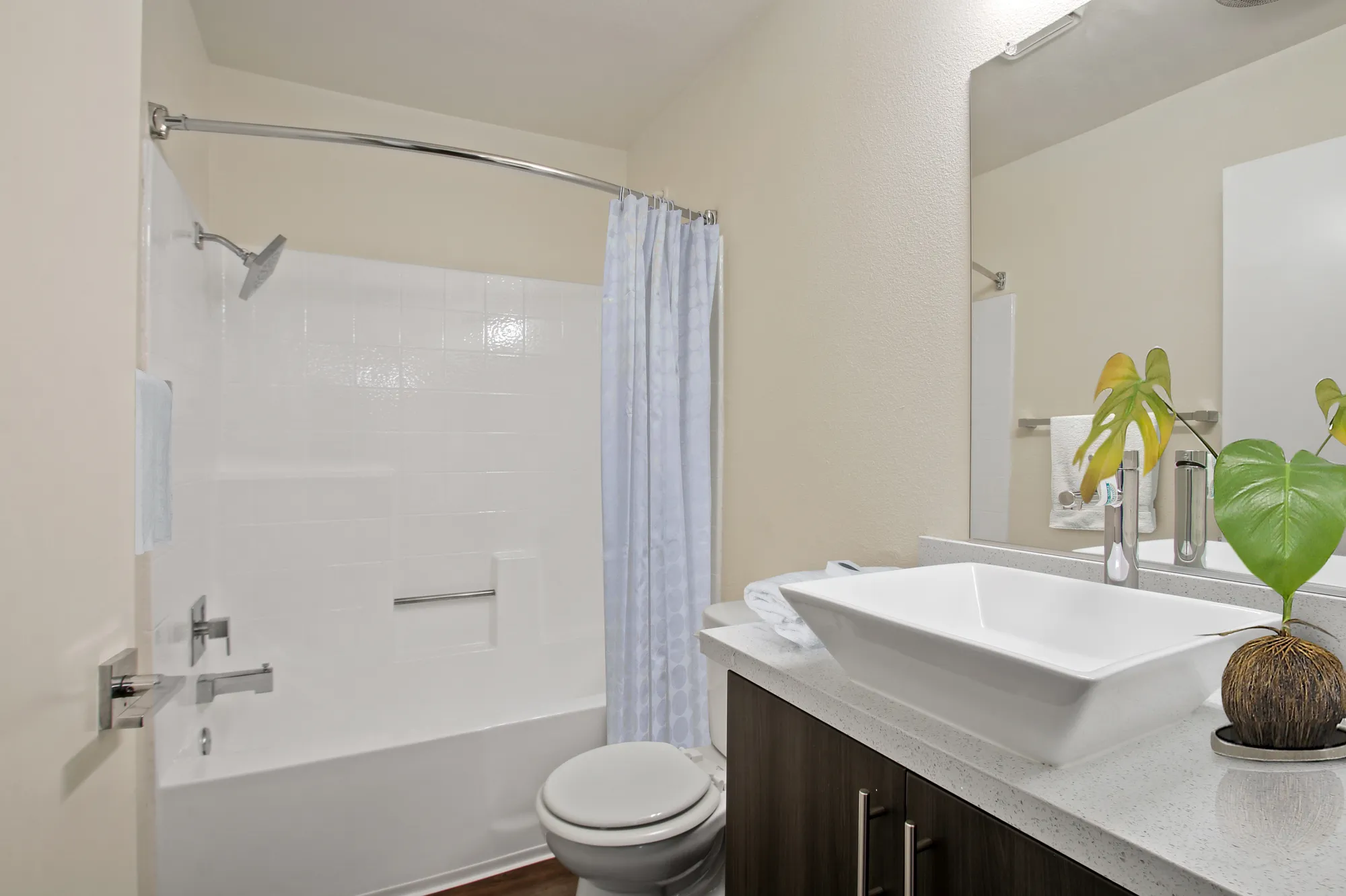 Atrium, undefined, 10965 Strathmore Dr, Los Angeles, CA 90024, Photo:6