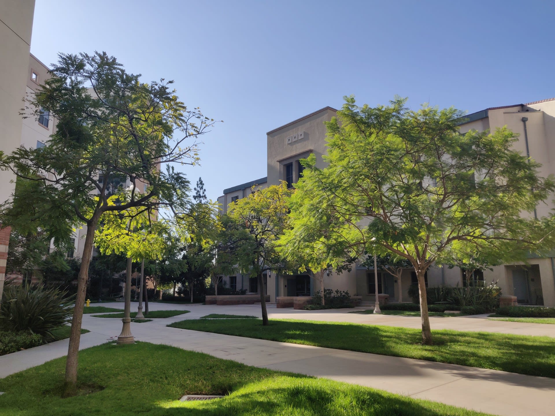 Fir, ucla, 381 Charles E Young Drive West, Los Angeles, CA 90024, Photo:0