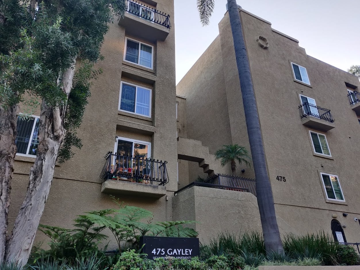 Westwood Palm, ucla, 475 Gayley Avenue Los Angeles 90024, Photo:0