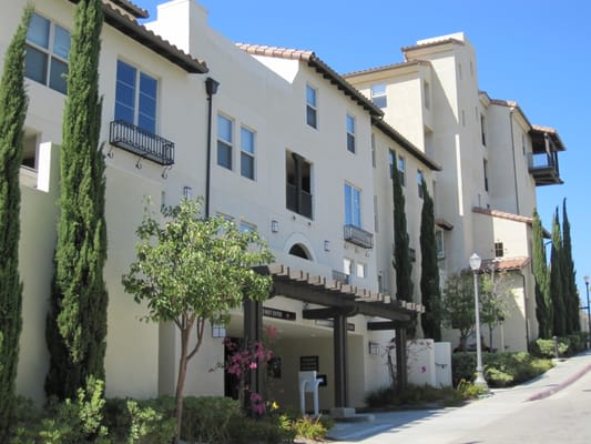 Weyburn Terrace-Jacaranda, ucla, 785 Weyburn Terrace Los Angeles 90024, Photo:0