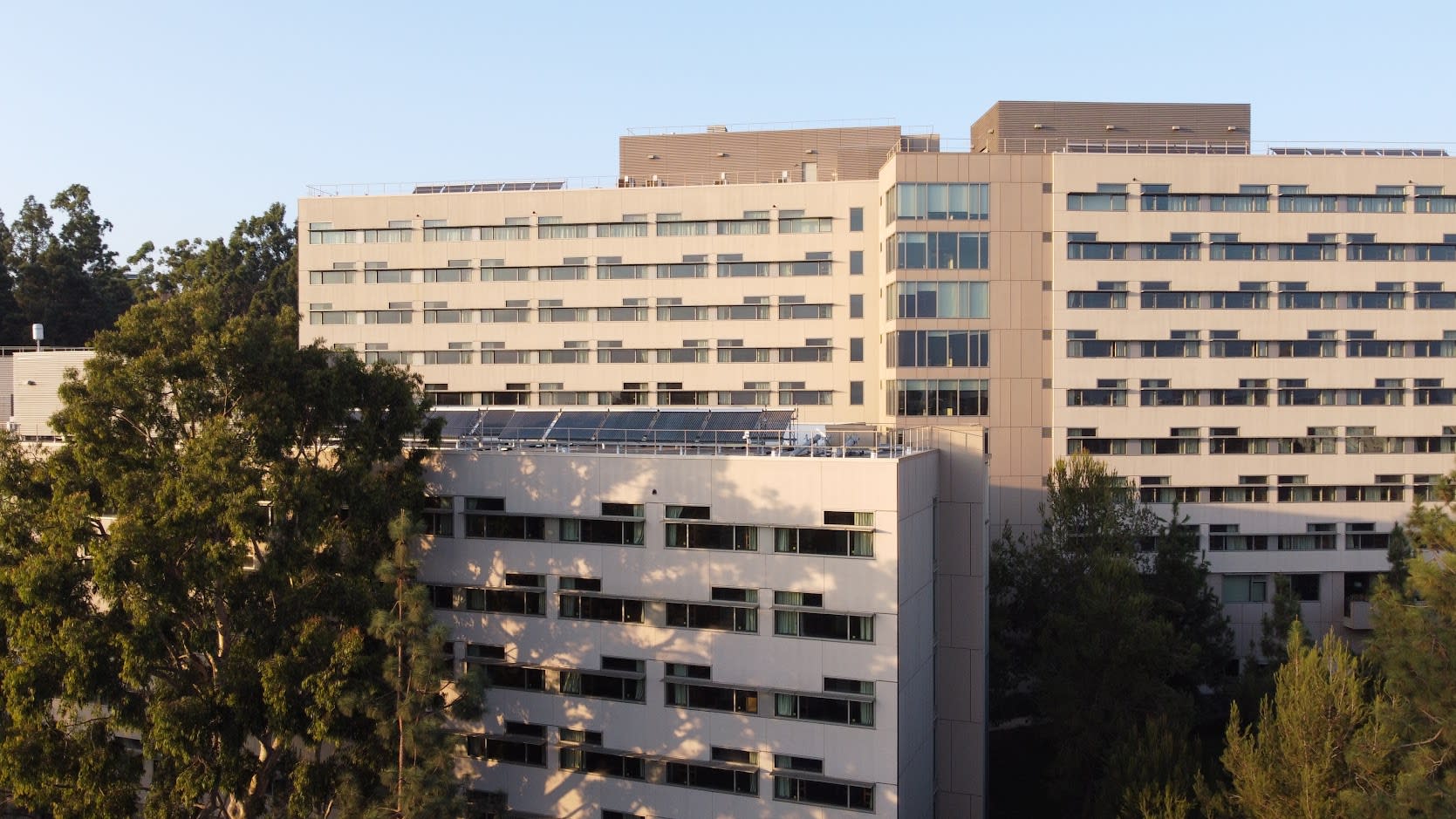 Holly, ucla, 345 De Neve Drive, Los Angeles, CA 90024, Photo:0