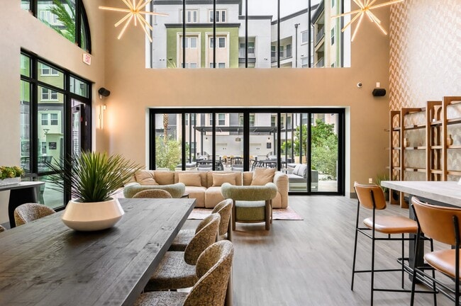 Enzo, undefined, 3100 Martin, Irvine, CA 92612, Photo:1