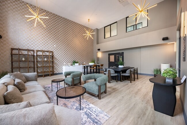 Enzo, undefined, 3100 Martin, Irvine, CA 92612, Photo:2