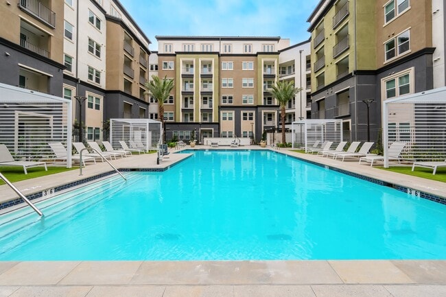 Enzo, undefined, 3100 Martin, Irvine, CA 92612, Photo:3