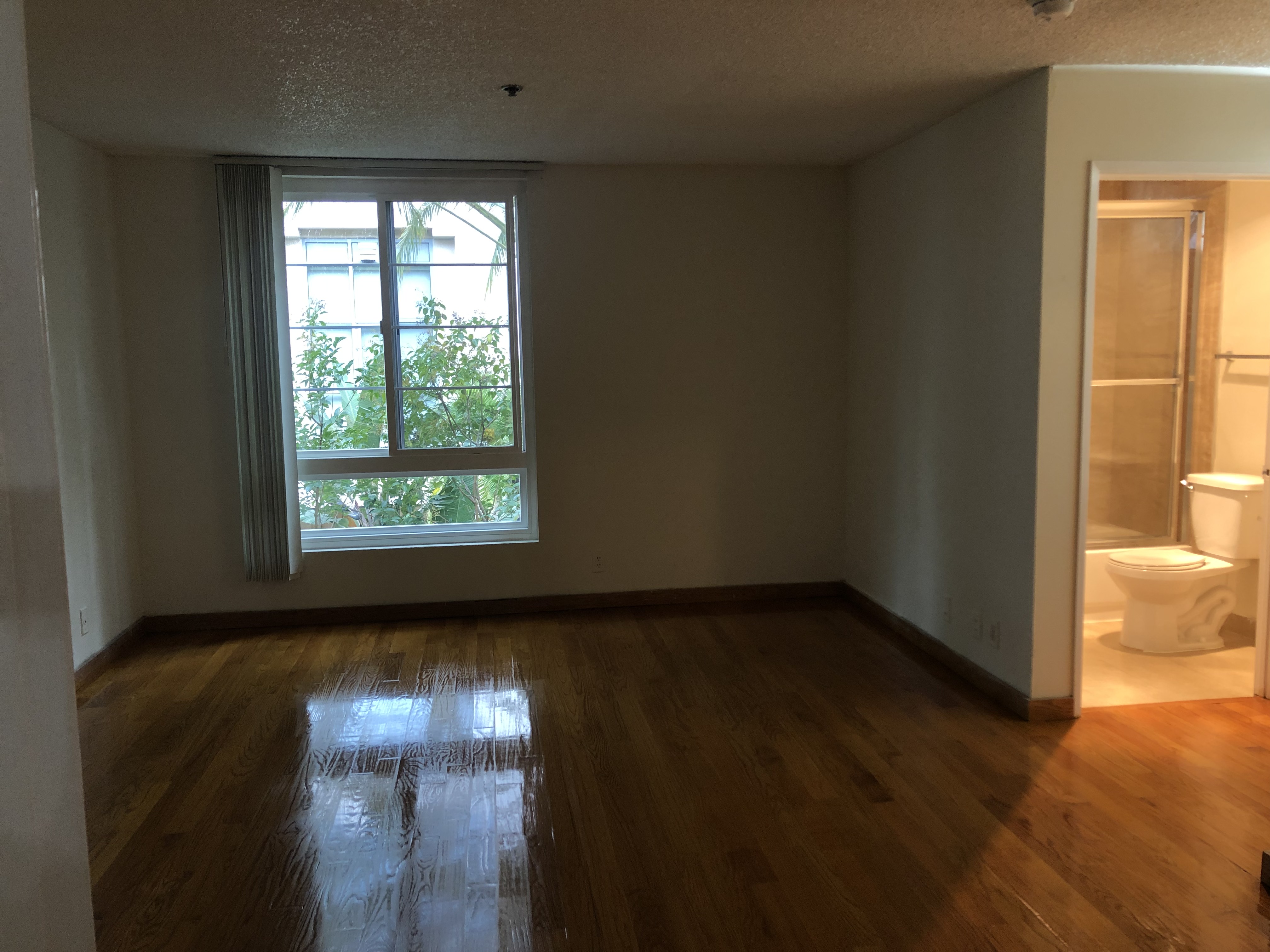 Wilshire Villa, ucla, 10811 Ashton Ave. Los Angeles CA 90024, Photo:12