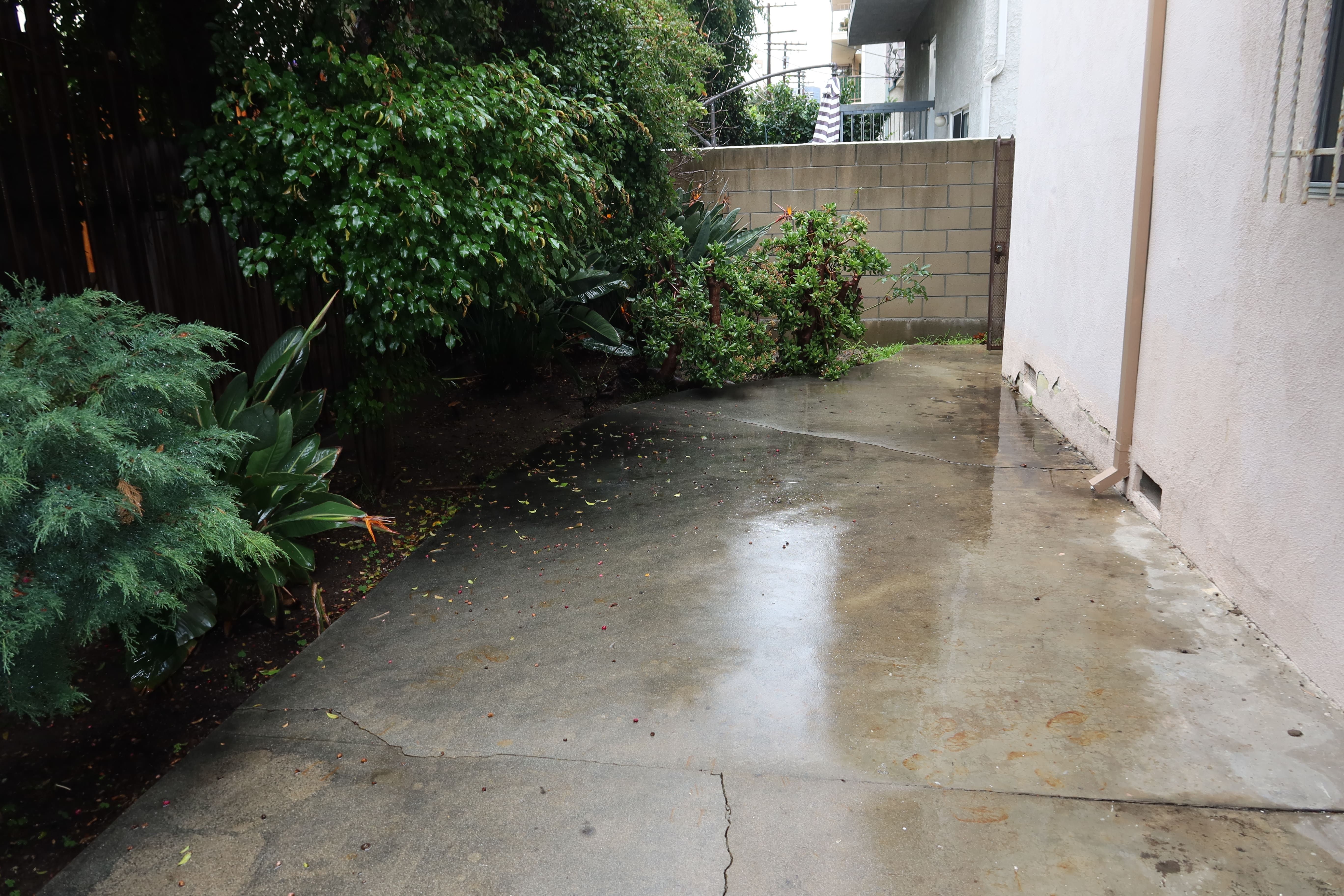 1927 Malcolm, ucla, 1927 Malcolm Ave, Los Angeles, CA 90025, Photo:17