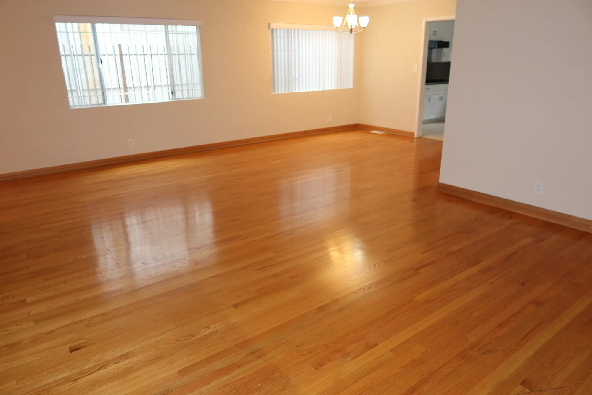 1927 Malcolm, undefined, 1927 Malcolm Ave, Los Angeles, CA 90025, Photo:3