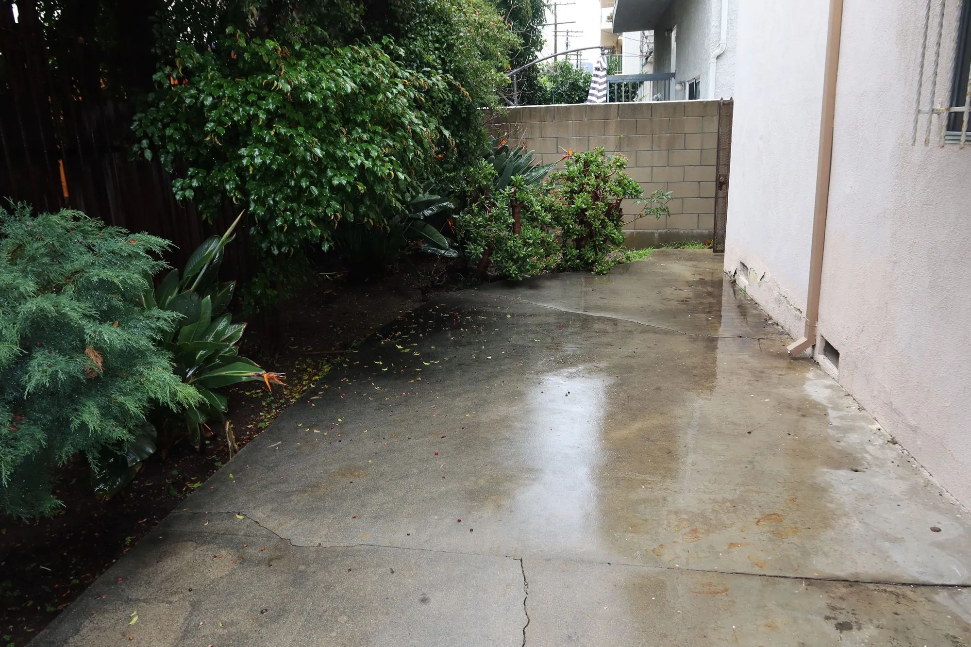 1927 Malcolm, undefined, 1927 Malcolm Ave, Los Angeles, CA 90025, Photo:17