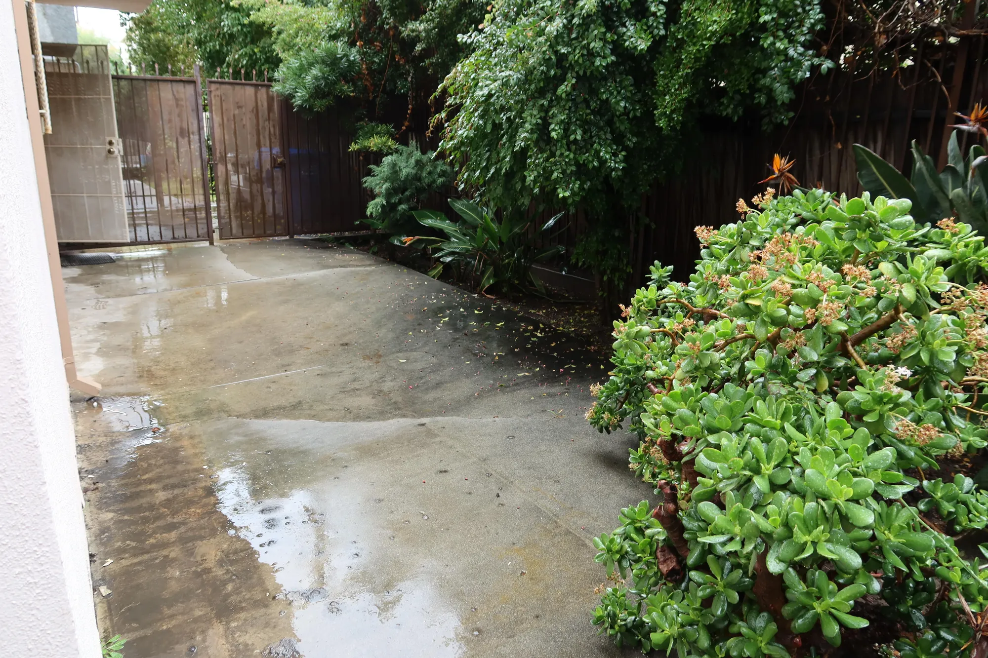 1927 Malcolm, undefined, 1927 Malcolm Ave, Los Angeles, CA 90025, Photo:18