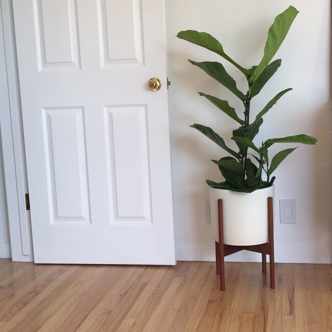 3101 3rd St, undefined, 3101 3rd St, Santa Monica, CA 90405, Photo:4