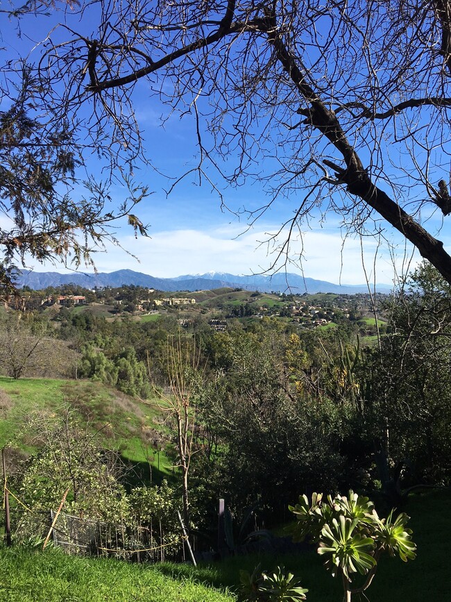 1284 Montecito Dr, undefined, 1284 Montecito Dr, Los Angeles, CA 90031, Photo:1