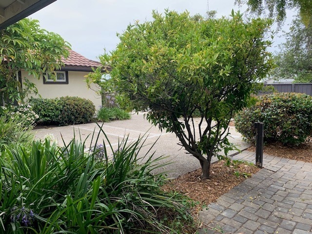 270 Savona Ave, undefined, 270 Savona Ave, Goleta, CA 93117, Santa Barbara County, California, United States, Photo:4