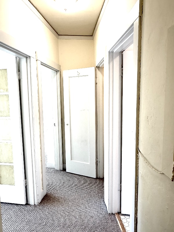 2818 Telegraph Ave, undefined, 2818 Telegraph Ave, Berkeley, CA 94705, Photo:2