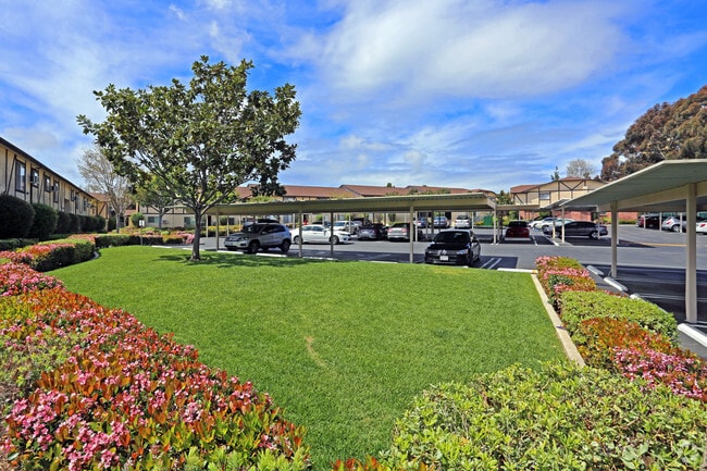 La Jolla Terrace, undefined, 4178 Decoro St, San Diego, CA 92122, Photo:1