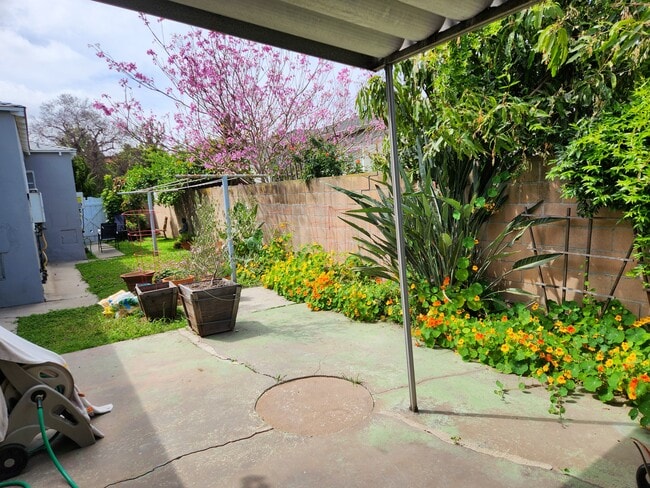 12019 Ocean Park Blvd, undefined, 12019 Ocean Park Blvd, Los Angeles, CA 90064, Photo:2