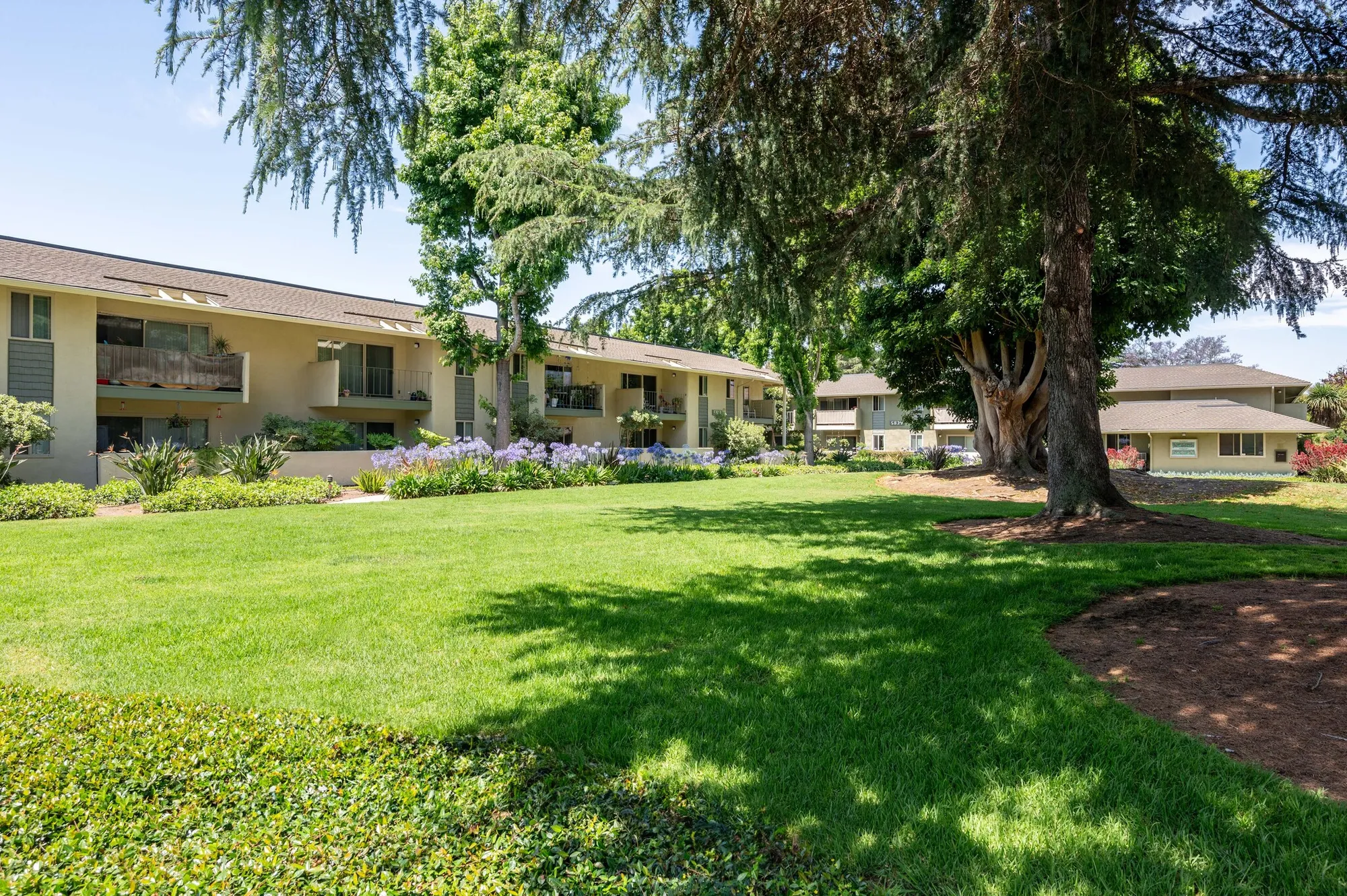 Encina Meadows - Student Housing near UCSB
