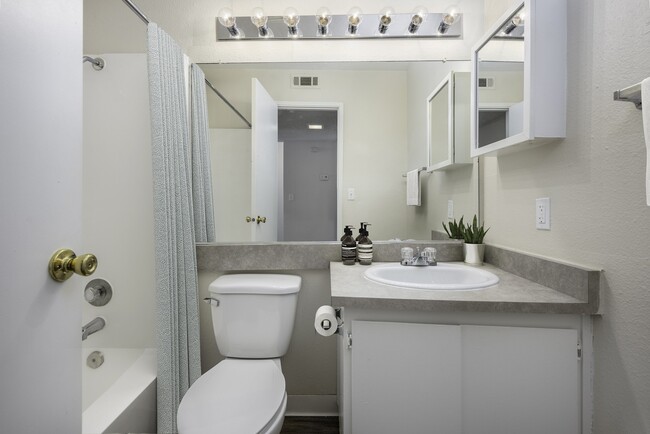 Renaissance Park Apartments, undefined, 3000 Lillard Dr, Davis, CA 95618, Photo:4