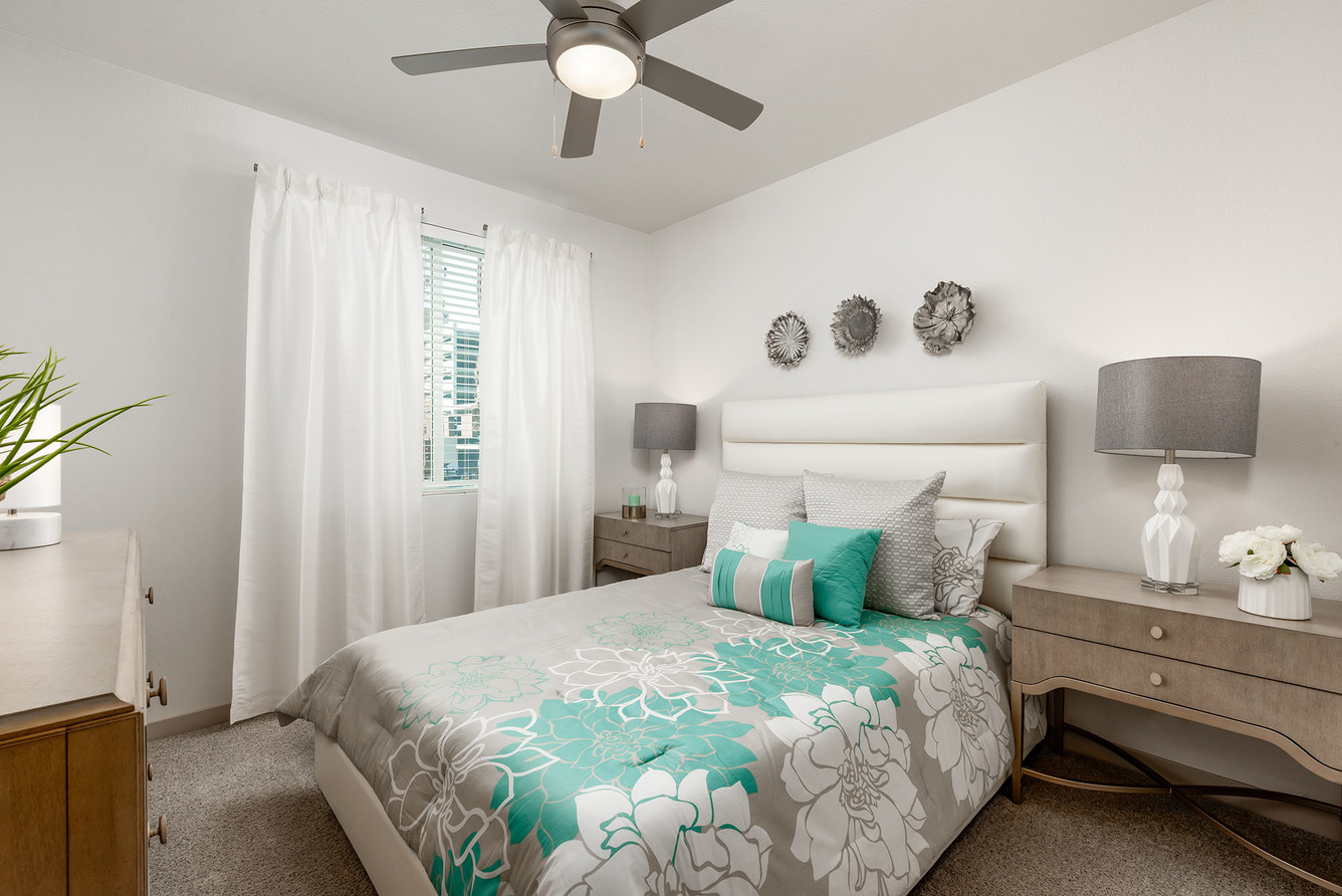 Norte Town, undefined, 909 E Playa Del Norte Dr, Tempe, AZ 85288, USA, Photo:2