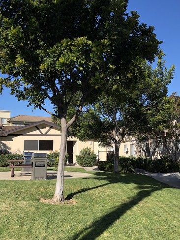 Whispering Pines, undefined, 4085-4089 Nobel Dr, San Diego, CA 92122, Photo:2